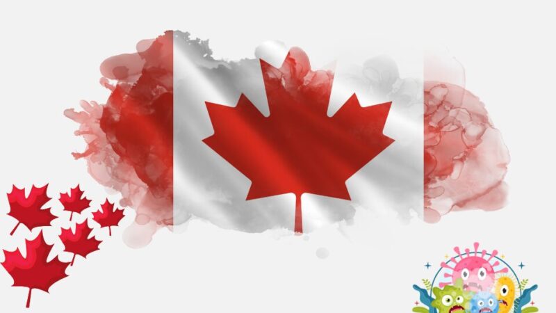 Image of an Canada flag