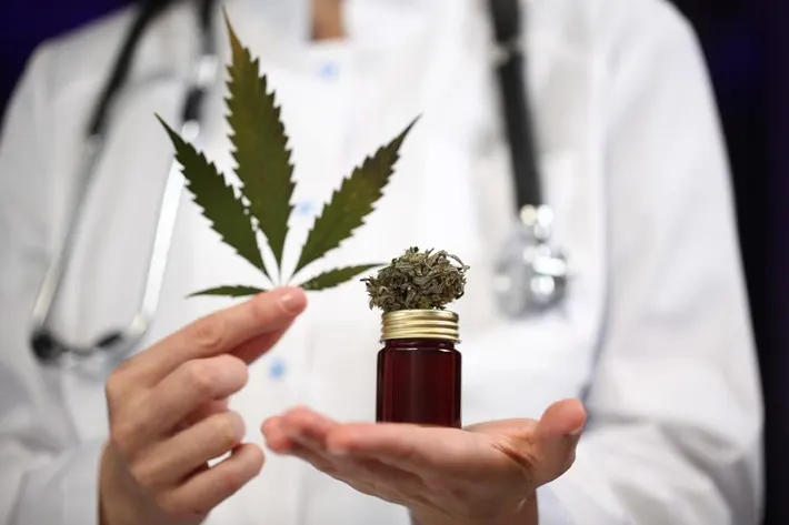 cannabis in medicine